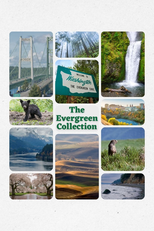 The Evergreen Collection